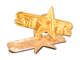 Позолоченный  фирменный значок - STAR